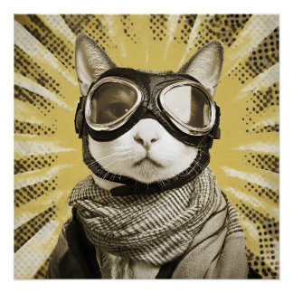 Poster Aviator Cat Goggles Sunburst Portrait