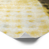 Poster Aviator Cat Goggles Sunburst Portrait (Coin)