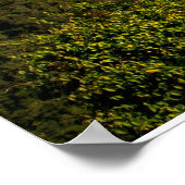 Poster Avila au lever du soleil (Coin)