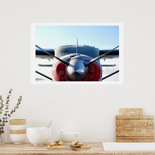 Poster Avion congelé (Cuisine)