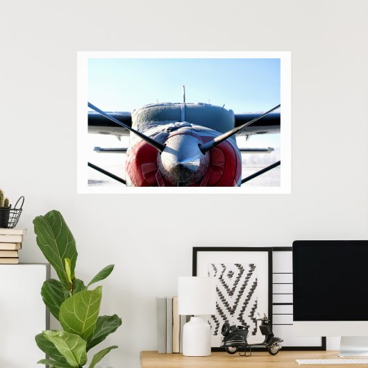 Poster Avion congelé (Bureau à domicile)
