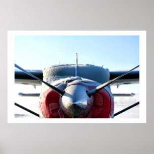 Poster Avion congelé