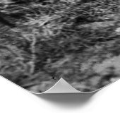 Poster Avion de chasse allemand WW1, années 1910 (Coin)