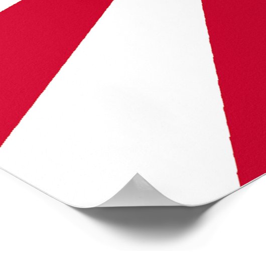 Poster Avion de chasse zéro (Coin)