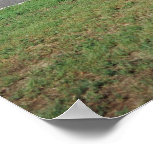 Poster Avion P-51 C Tuskegee Red Tail à l'Aviation royale (Coin)