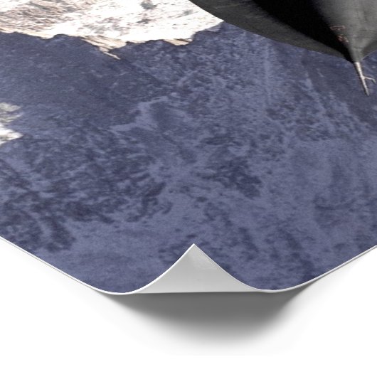 Poster Avion Supersonic (Coin)