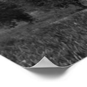 Poster Avion vintage (Coin)