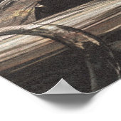 Poster Avion vintage (Coin)