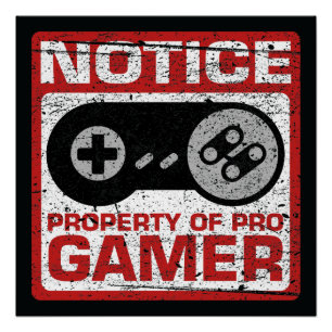 Poster Avis De Propriété De Pro Gamer