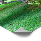 Poster Avocados à basse pendaison sur une lointaine île d (Coin)