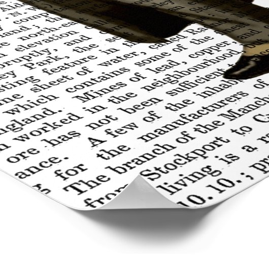 Poster Avocat Schnauzer (Coin)