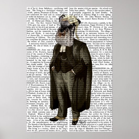 Poster Avocat Schnauzer (Devant)