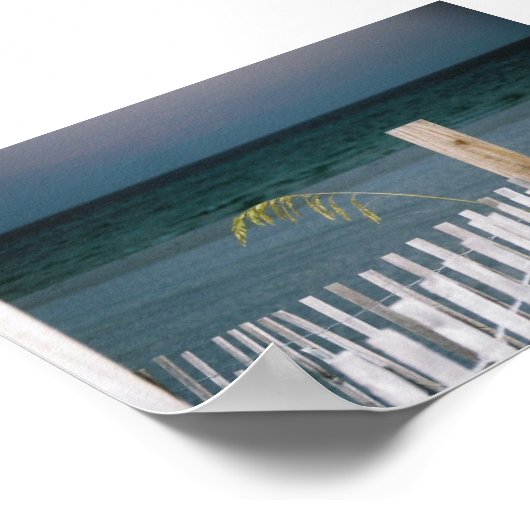 Poster avoine marine (Coin)