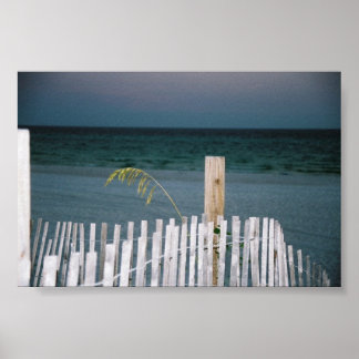 Poster avoine marine