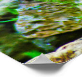 Poster Avoir un Noël parfait (Coin)