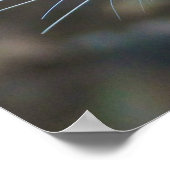 Poster Avoir un Noël parfait (Coin)