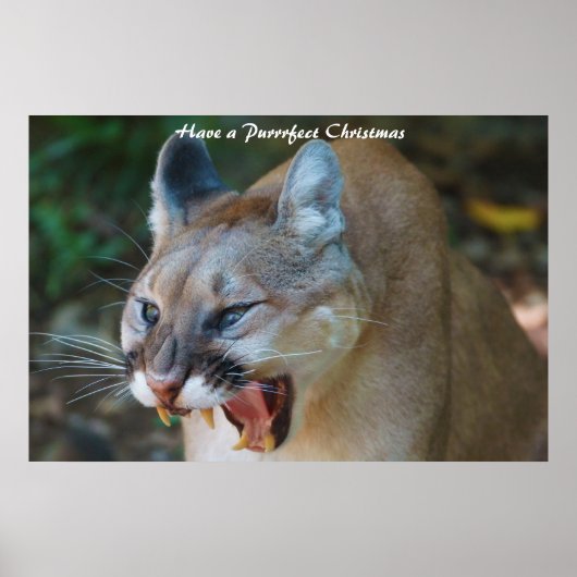 Poster Avoir un Noël parfait (Devant)