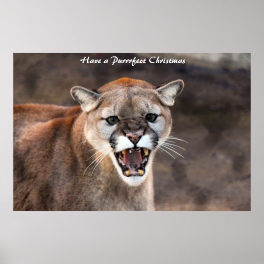 Poster Avoir un Noël parfait (Devant)