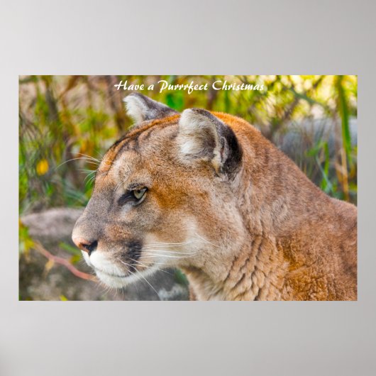 Poster Avoir un Noël parfait (Devant)