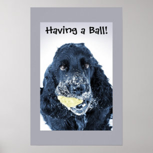 Poster Avoir une boule !