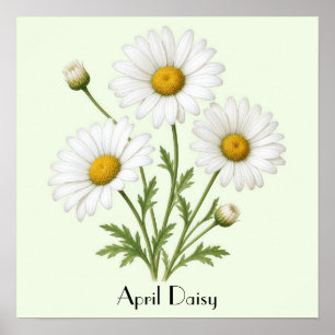 Poster Avril Daisy Flowers