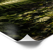 Poster Awakened Forest Guardian – Ancient Nature Spirit (Coin)