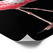 Poster Awesome Cool Flamingo With Christmas Hat And Sungl (Coin)