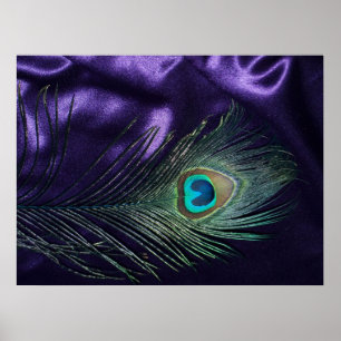 Poster Awesome Peacock Plumes violet