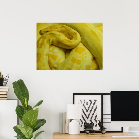 Poster Awesome Yellow Burmese Python (Bureau à domicile)