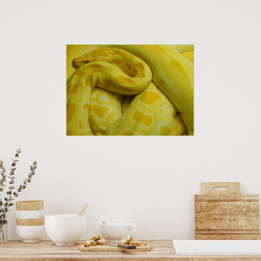 Poster Awesome Yellow Burmese Python (Cuisine)
