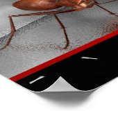 Poster AWxxWtC (Coin)