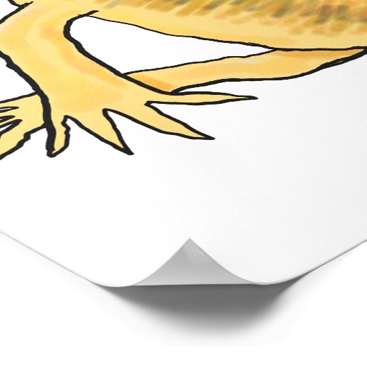 Poster Axolotl (Coin)