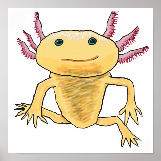 Poster Axolotl (Devant)