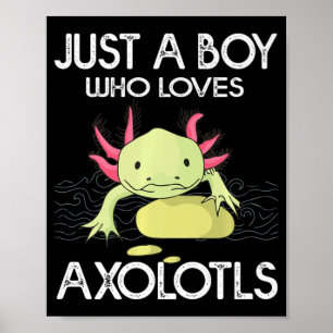 Poster Axolotl Cadeau Anime Japonais Juste Un Garçon Qui