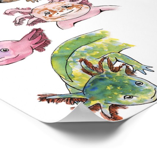 Poster Axolotls (Coin)