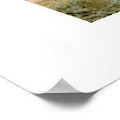 Poster Ayers Rock (Coin)