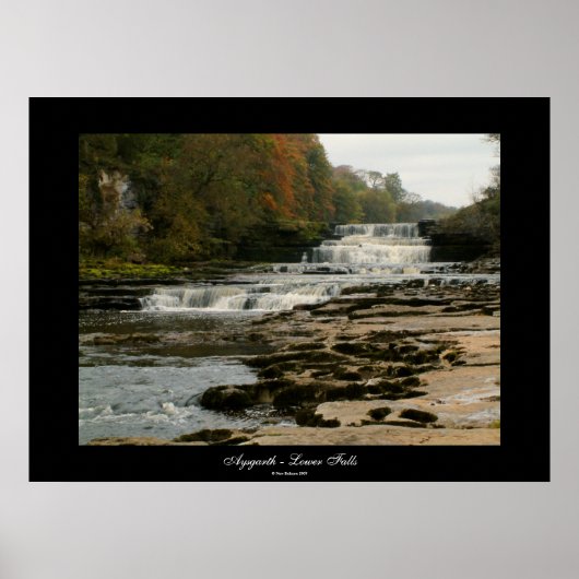 Poster Aysgarth - Lower Falls | (Devant)