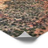 Poster AZ, Arizona, Grand Canyon National Park, Sud 2 (Coin)