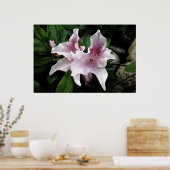 Poster Azalea (Cuisine)