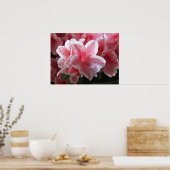 Poster Azalea #3 (Cuisine)