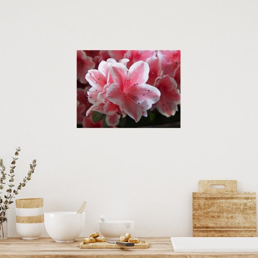 Poster Azalea #3 (Cuisine)