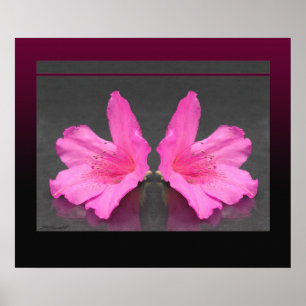 Poster Azalea Mirrored Print -24x20 -autres tailles égale