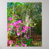 Poster Azalea Path Bok Tower Gardens Lake Wales Floride (Devant)