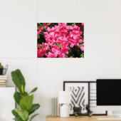 Poster Azalea rose (Bureau à domicile)