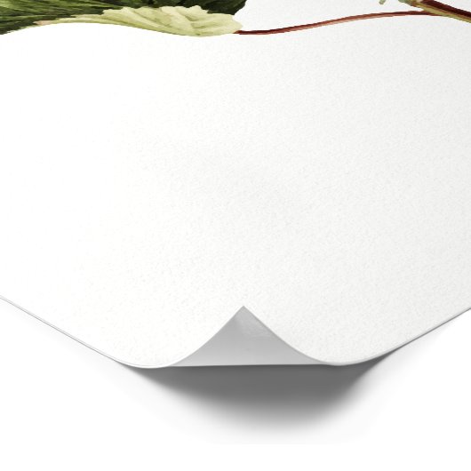 Poster Azaleas (Coin)