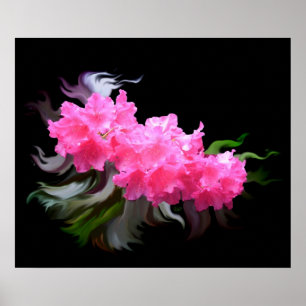 Poster Azaleas