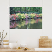 Poster Azaleas (Cuisine)