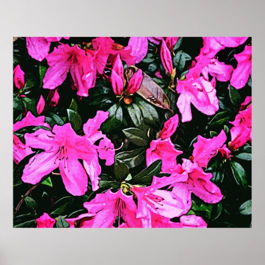 Poster Azaleas 6082 (Devant)