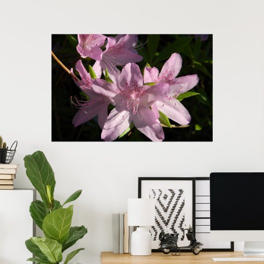 Poster Azaleas dans l'affiche Sunshine (Bureau à domicile)