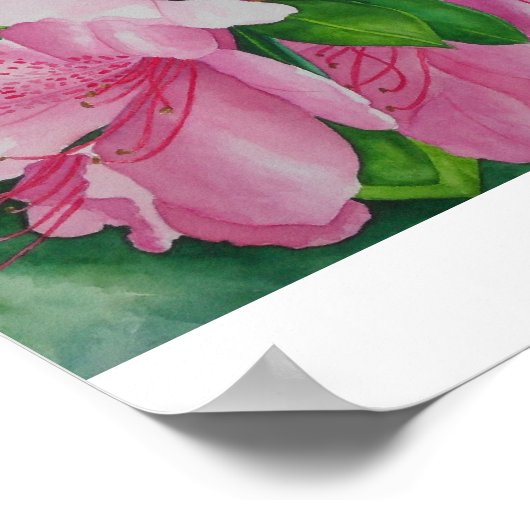Poster Azaleas doux (Coin)